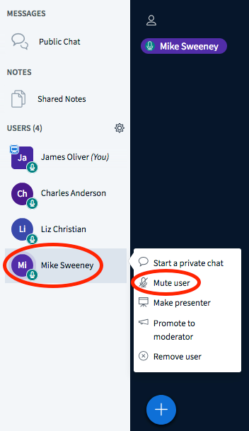 SkyviewMute.png