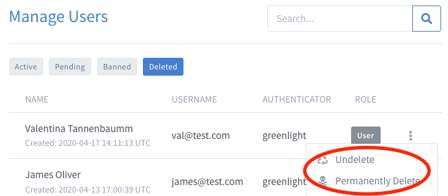 Skyview-Deleted-1.png