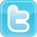 Options Twitter Icon.png