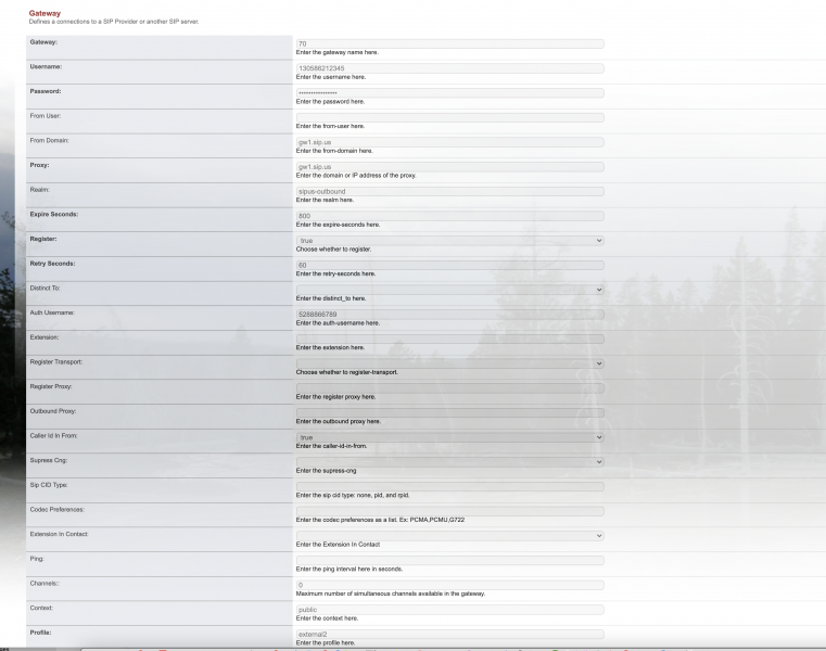 File:GatewaySetup.png